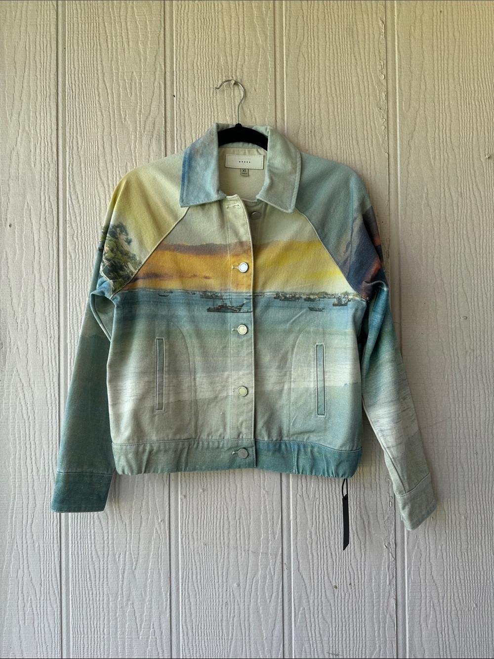 BLANK NYC Scenic Print Denim Jacket
